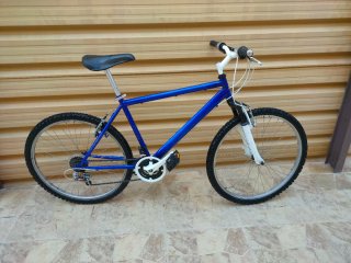 Bicicleta Azul Montaña