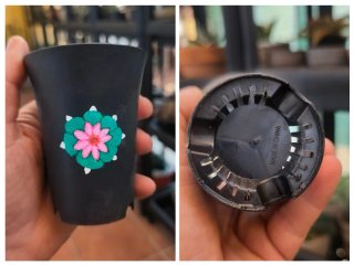 Maceta negra con dibujo de lophophora W " lopho "