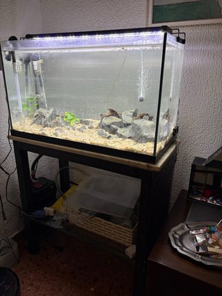 Acuario 100L con mesa y filtro externo