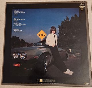 Lote 2 Vinilos Randy Meisner