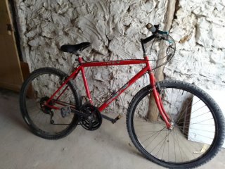 Bicicleta de Montaña Roja