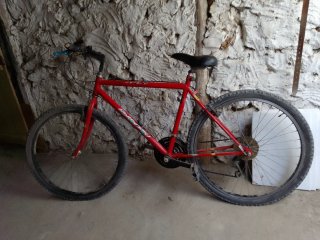 Bicicleta de Montaña Roja
