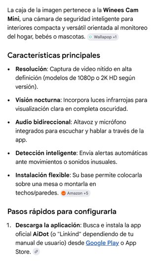 Winees Cam mini - Cámara seguridad