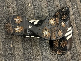 Zapatos de golf Adidas negros y blancos