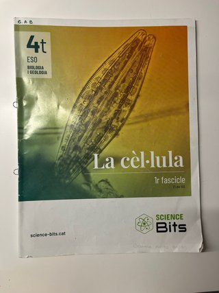 Biologia i geologia 4 ESO CAT
