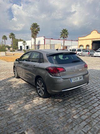 Citroen C4 2016