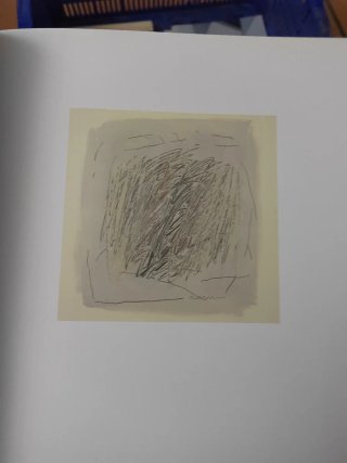 LIBRO DE BECHTOLD PRINCIPI DE L'ALTERACIO