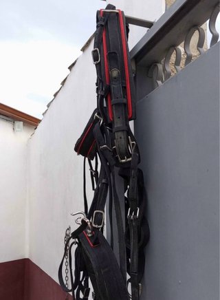 Guarnición de tronco para caballo