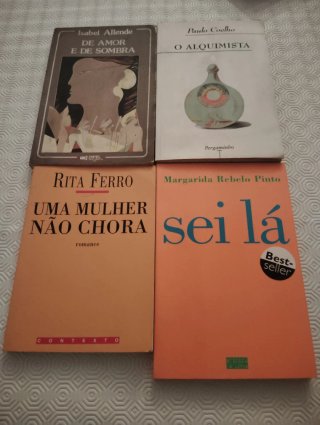 Livros Vários Escritores Usados