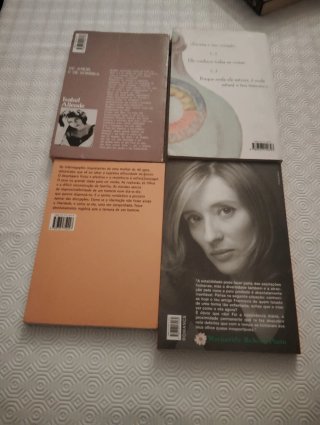 Livros Vários Escritores Usados