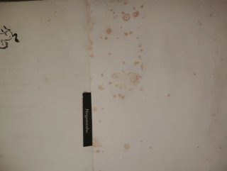 Livros Vários Escritores Usados
