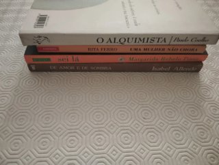 Livros Vários Escritores Usados