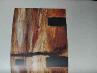 Libro catálogo del artista Josep Niebla