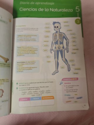 Ciencias de la Naturaleza 5 Primaria : Comunida...