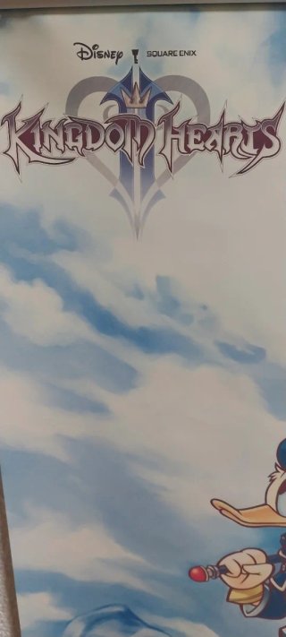 Póster Tela Kingdom Hearts
