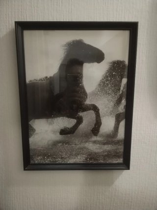 Cuadro Decorativo Caballos Blanco y Negro