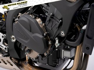QJ Motor SRK 800