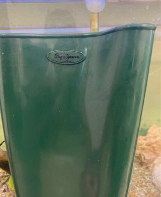 Botas de agua Pepe Jeans verdes