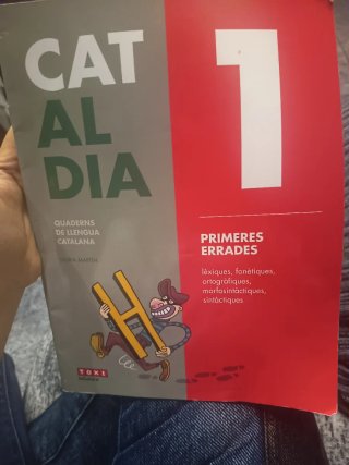 Cat al dia 1 primeres errades : lèxiques, fonèt...