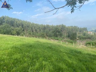 Terreno en venta en Selorio - Tornón en Villaviciosa