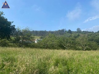 Terreno en venta en Selorio - Tornón en Villaviciosa