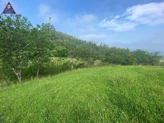 Terreno en venta en Selorio - Tornón en Villaviciosa