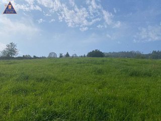 Terreno en venta en Selorio - Tornón en Villaviciosa