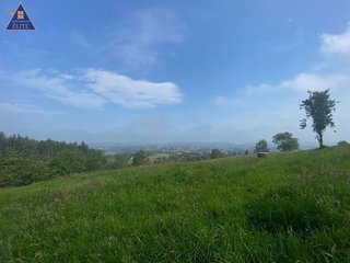Terreno en venta en Selorio - Tornón en Villaviciosa