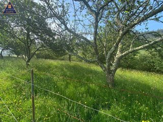 Terreno en venta en Selorio - Tornón en Villaviciosa