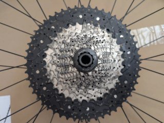 Rueda MTB 29 Oc Alloy Tubeless HG