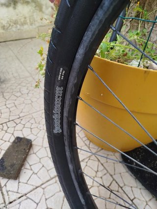 Trek Marlin 6 (Tamanho M/L) – Muito Estimada