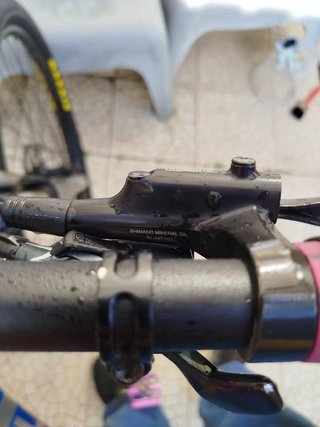 Trek Marlin 6 (Tamanho M/L) – Muito Estimada