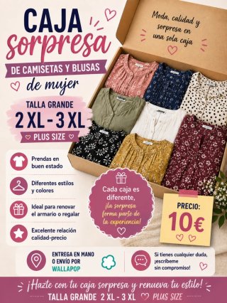 Lote Camisetas y Blusas Talla Grande Mujer