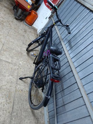 Bicicleta eléctrica Bottecchia BE16