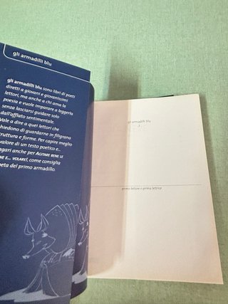 2 Libri Gli Armadilli Blu