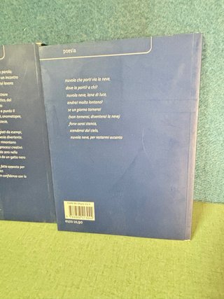 2 Libri Gli Armadilli Blu