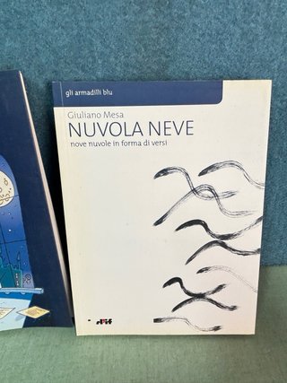 2 Libri Gli Armadilli Blu