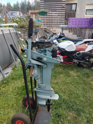 Motor fueraborda Evinrude auxiliar