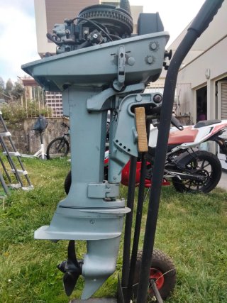 Motor fueraborda Evinrude auxiliar