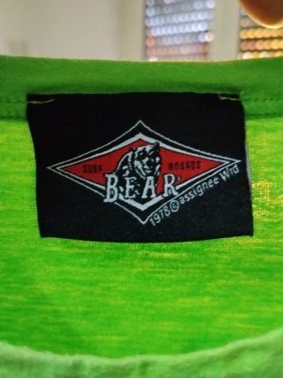 T-shirt Bear Surfboards verde