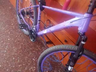 Bicicleta