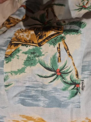 Camisa Levi's Hawaiana Estampada