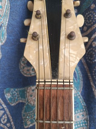 Guitarra Jazz Vintage Tellson Lyric 1802 Archtop