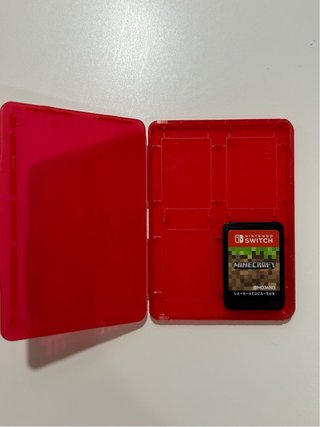 Minecraft Nintendo Switch