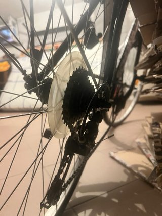 Bici da città