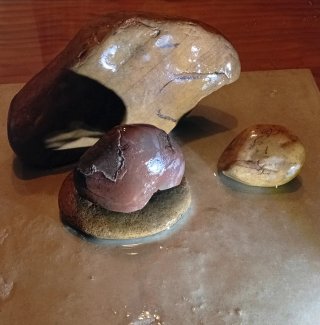 Rocas Naturales Acuario y Terrario (1,6kg)