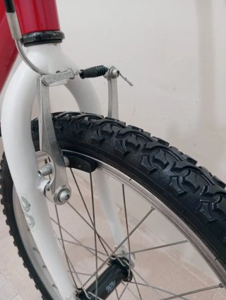 Bicicleta roja 20 pulgadas niño