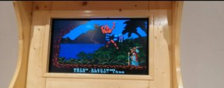 Videogioco Arcade Personalizzato