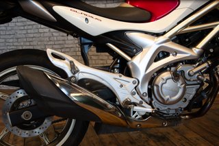 SUZUKI SFV 650 GLADIUS