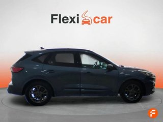 Ford Kuga ST-Line 1.5 EcoBlue 88kW (120CV) Auto